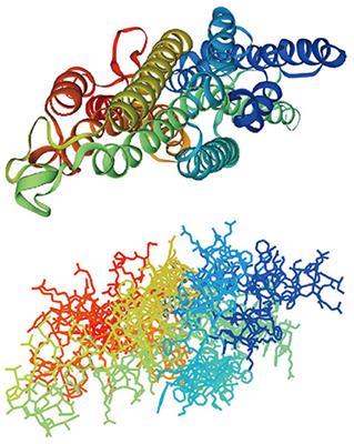 Corrigendum: Sex Pheromone Receptors of Lepidopteran Insects